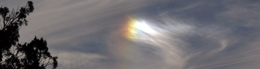 Sundog